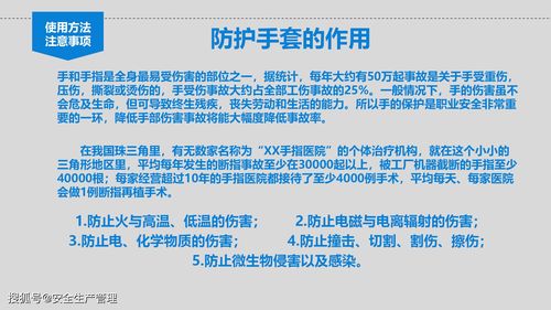 個體勞動防護用品（PPE）使用培訓指南（50頁精簡版）
